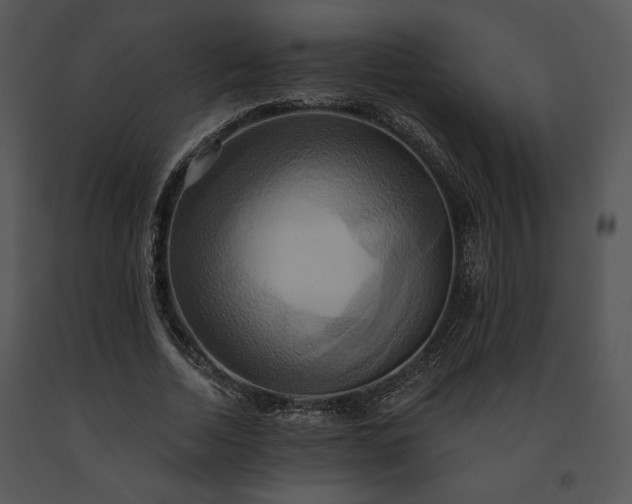 X0000091640730200708301358