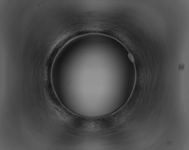 X0000091640731200708301358