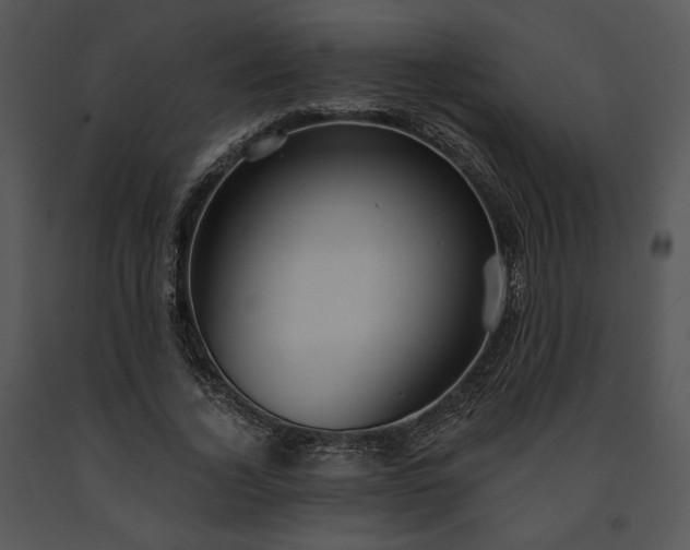 X0000091640732200708301358