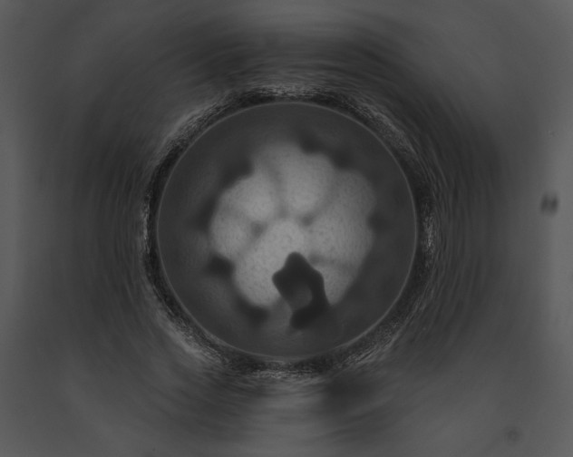 X0000091640733200708301358