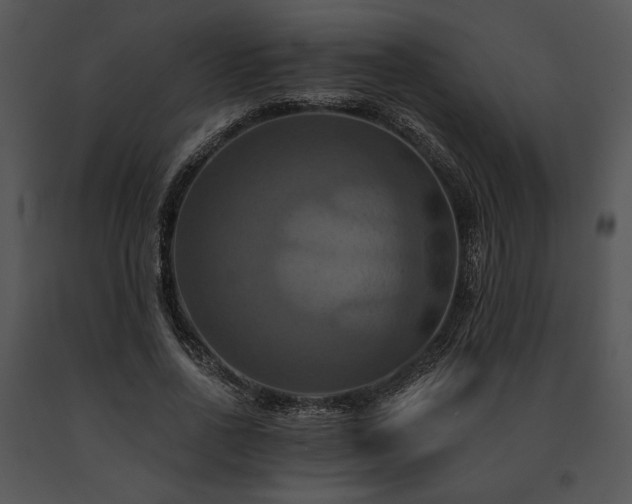 X0000091640734200708301358