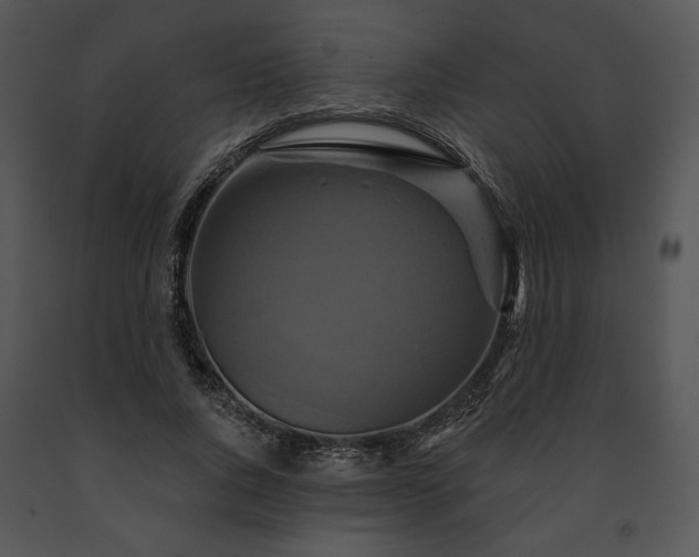 X0000091640736200708301358