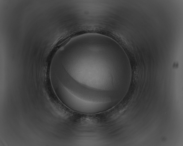 X0000091640739200708301358