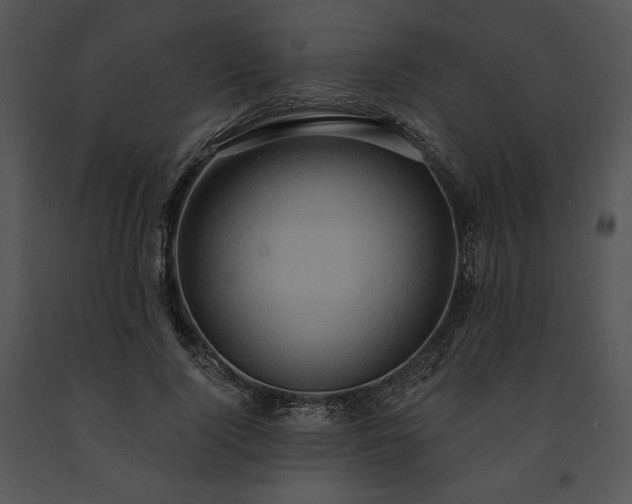 X0000091640740200708301358