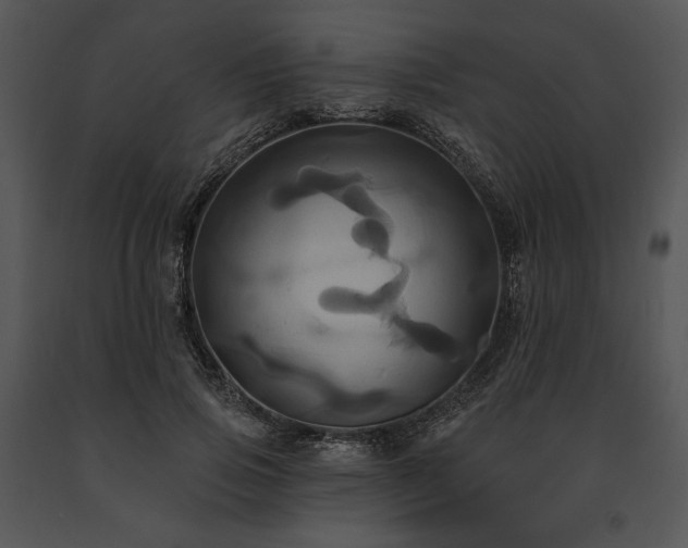 X0000091640741200708301358