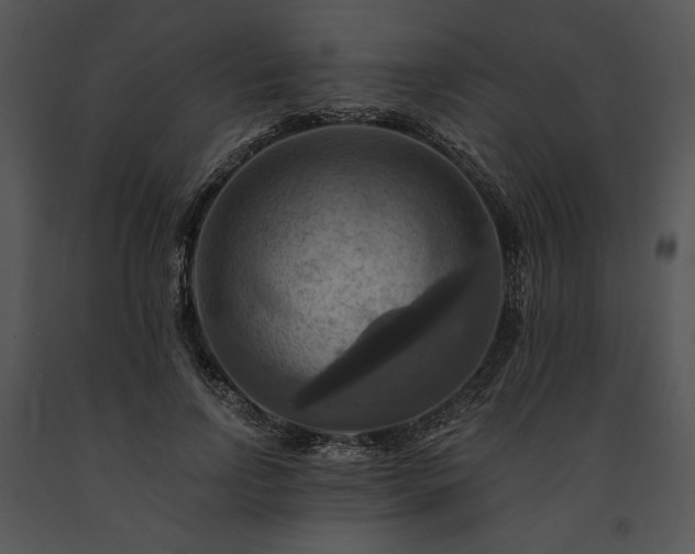 X0000091640742200708301358