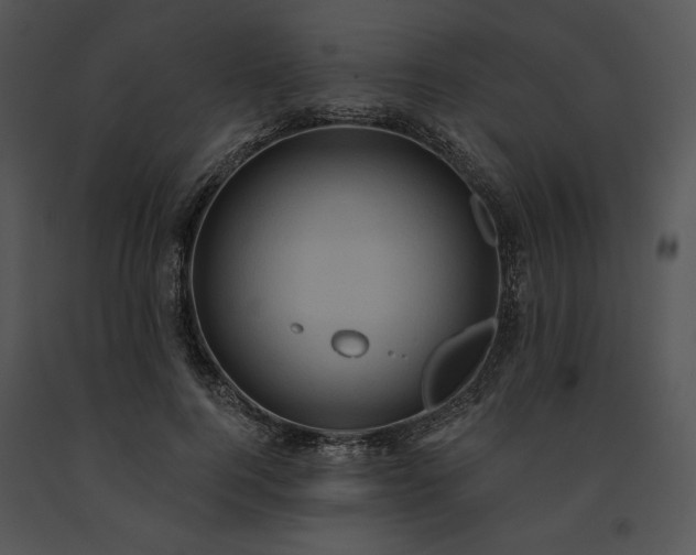 X0000091640744200708301358