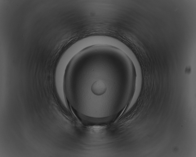 X0000091640748200708301358
