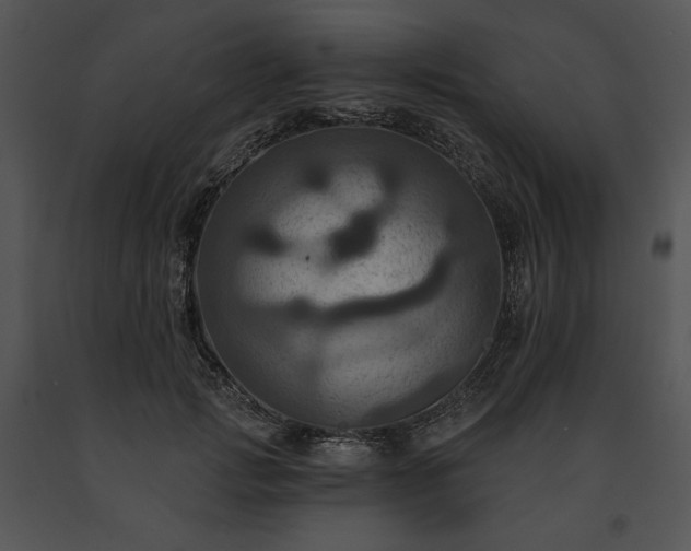 X0000091640749200708301358