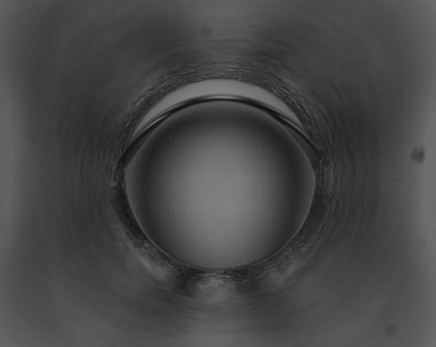X0000091640750200708301358