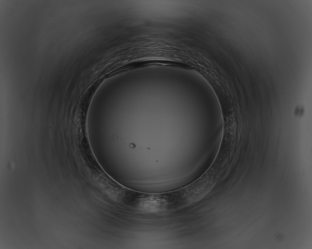X0000091640754200708301358