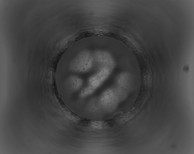 X0000091640757200708301358