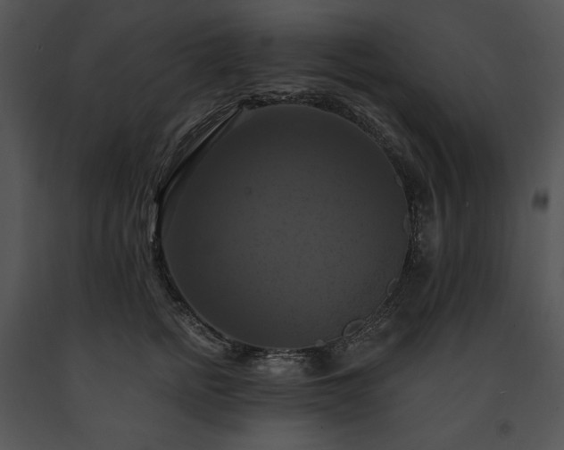 X0000091640758200708301358