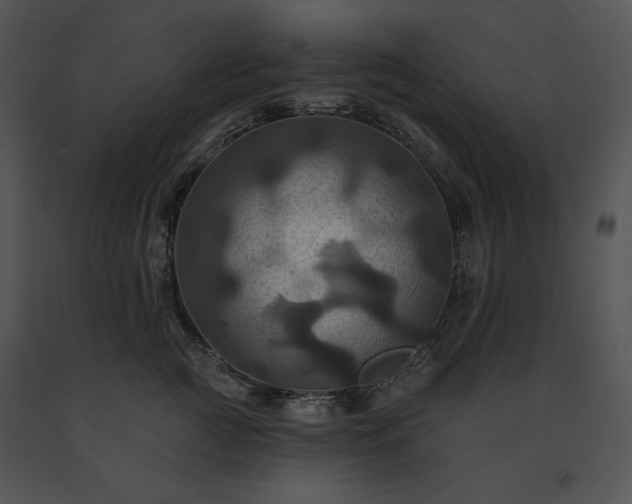 X0000091640761200708301358
