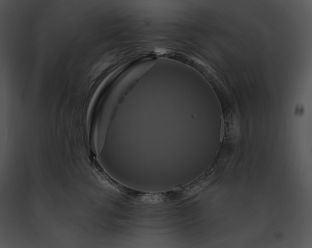 X0000091640762200708301358