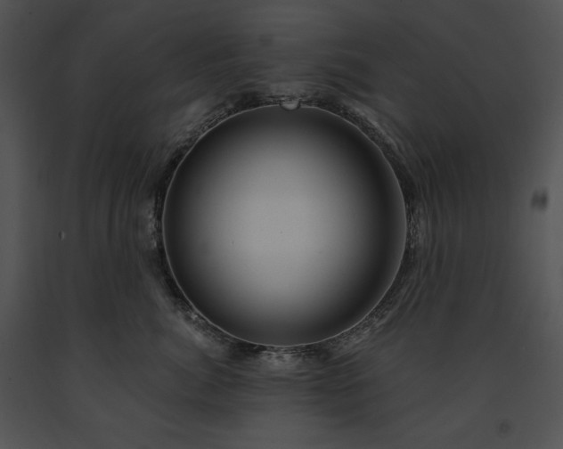 X0000091640764200708301358