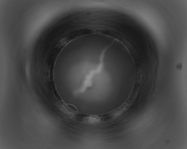 X0000091640765200708301358