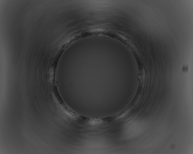 X0000091640767200708301358