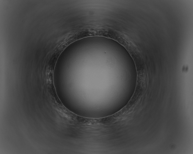 X0000091640770200708301358