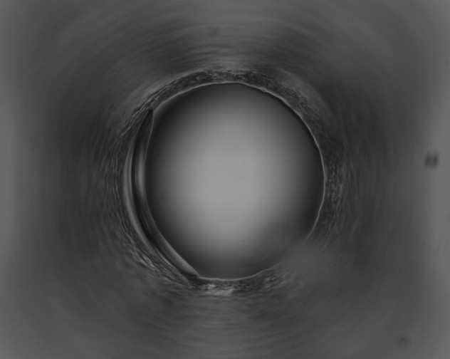 X0000091640773200708301358
