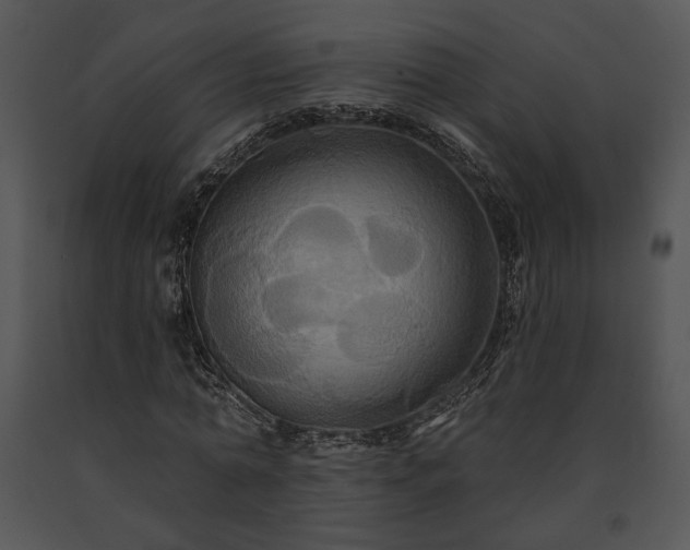 X0000091640774200708301358
