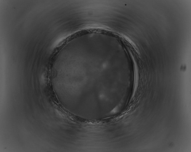 X0000091640775200708301358
