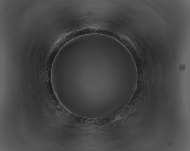 X0000091640776200708301358