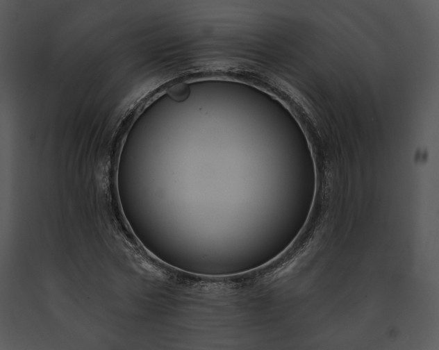 X0000091640778200708301357