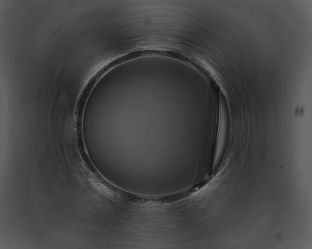 X0000091640779200708301357