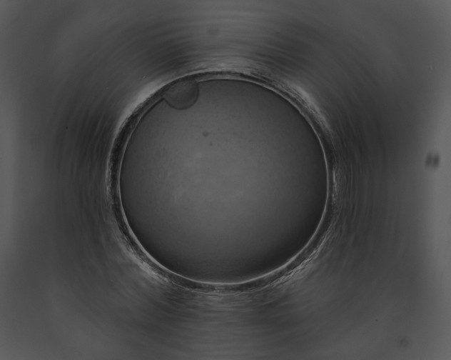 X0000091640780200708301357