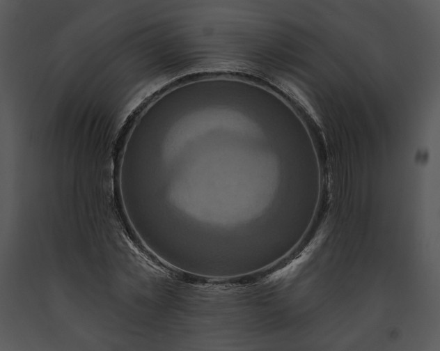 X0000091640781200708301357