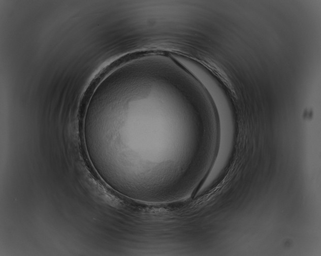 X0000091640784200708301357