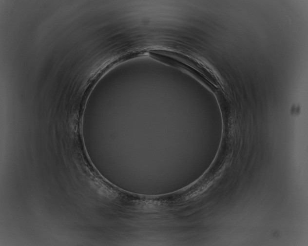 X0000091640785200708301357