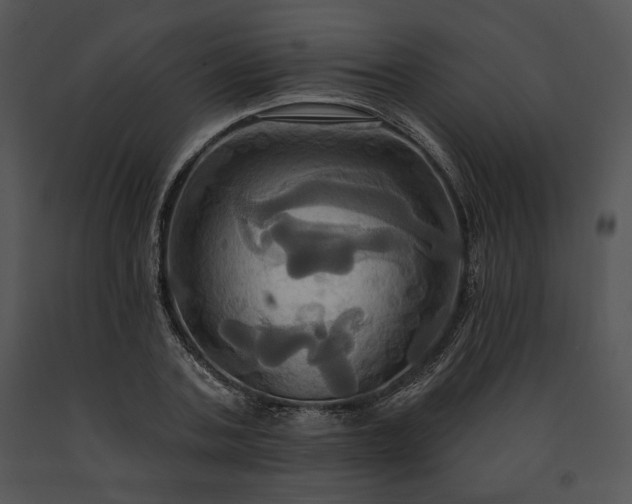 X0000091640787200708301357