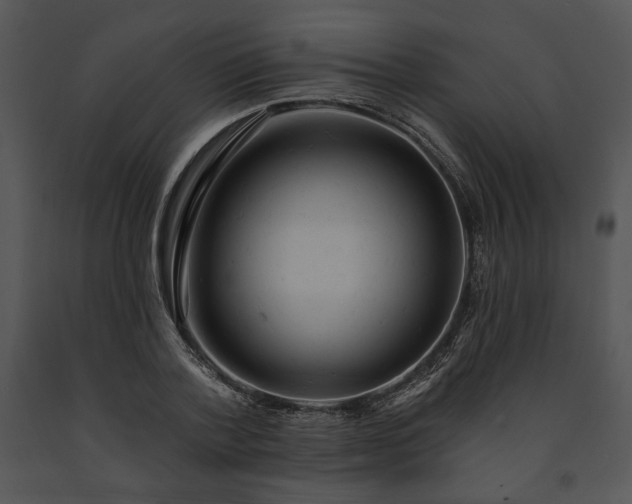 X0000091640788200708301357