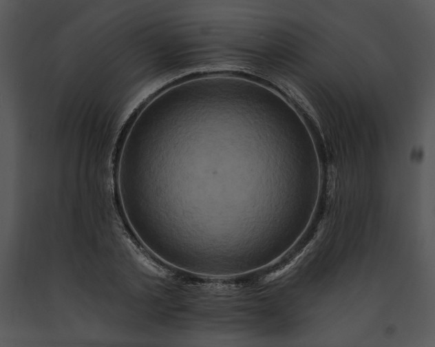 X0000091640789200708301357