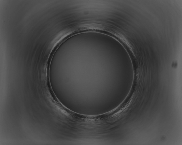 X0000091640790200708301357