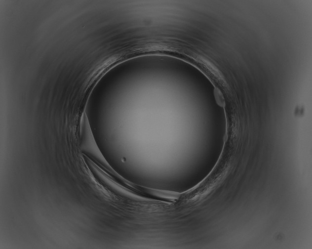 X0000091640793200708301357