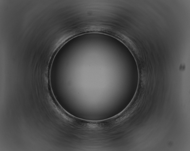 X0000091640794200708301357
