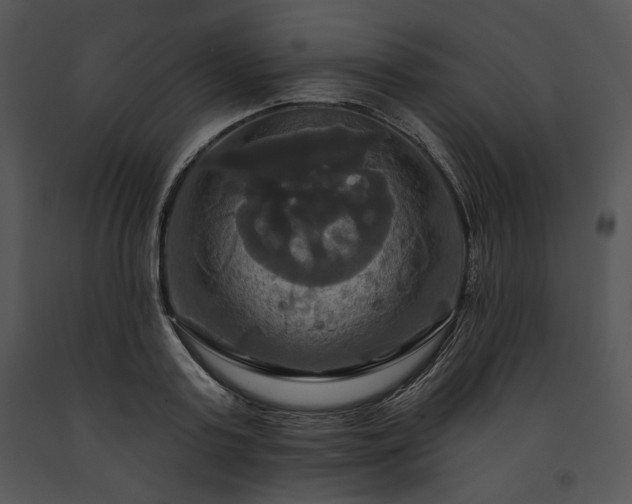 X0000091640795200708301357