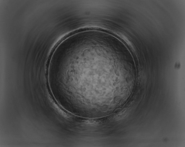 X0000091640799200708301357
