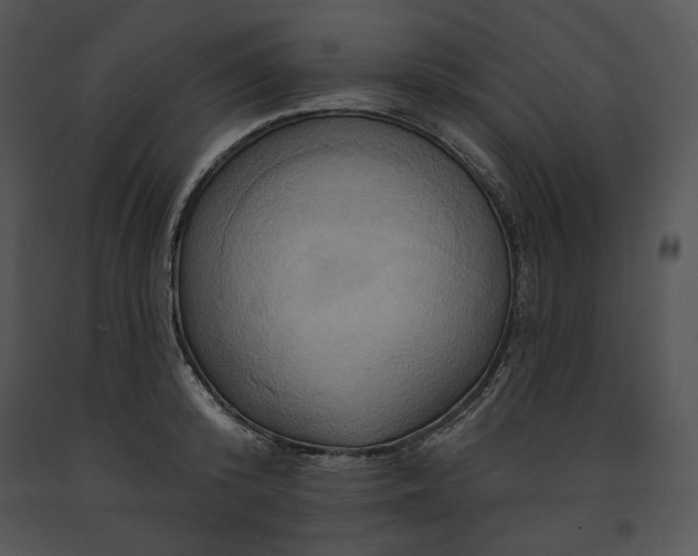 X0000091640800200708301357