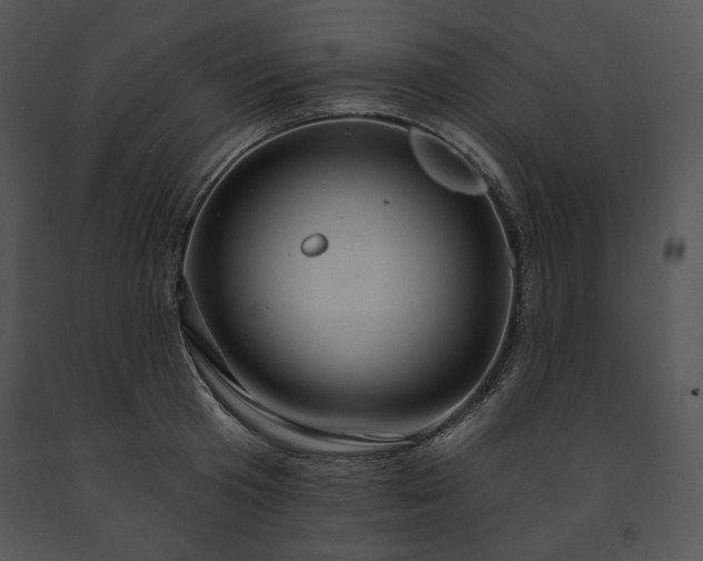 X0000091640801200708301357