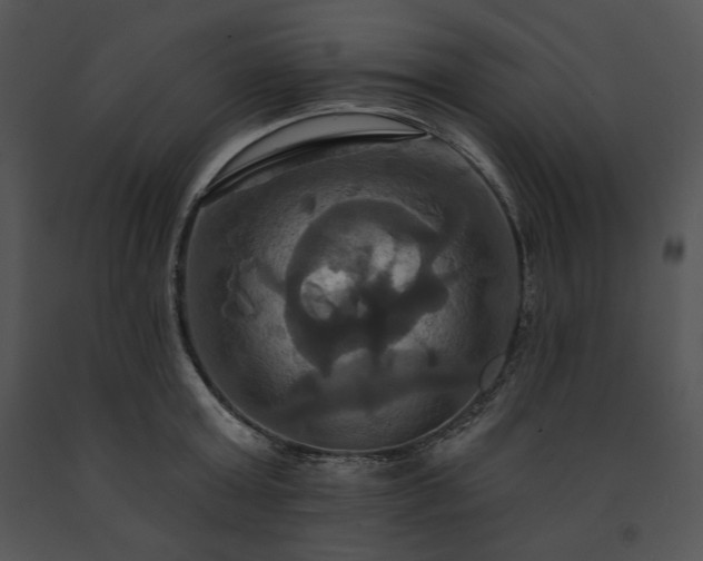 X0000091640803200708301357