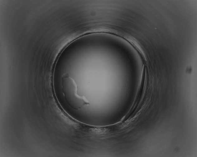X0000091640805200708301357
