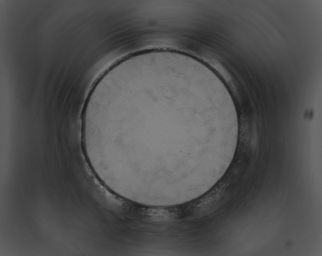X0000091640807200708301357