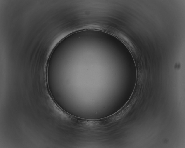 X0000091640808200708301357