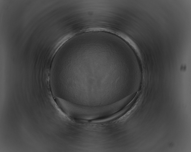 X0000091640809200708301357