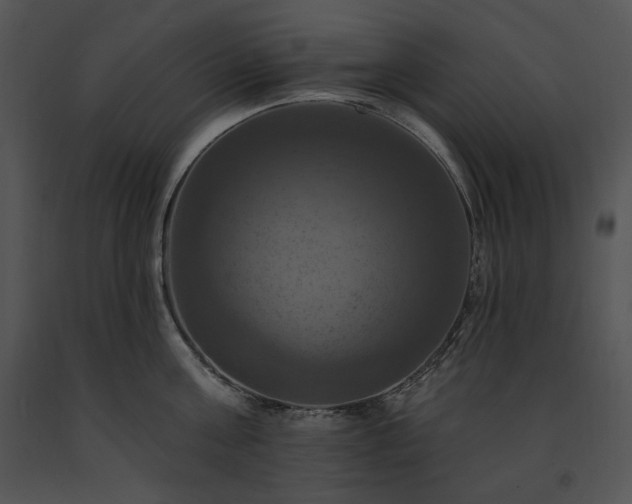 X0000091640811200708301357