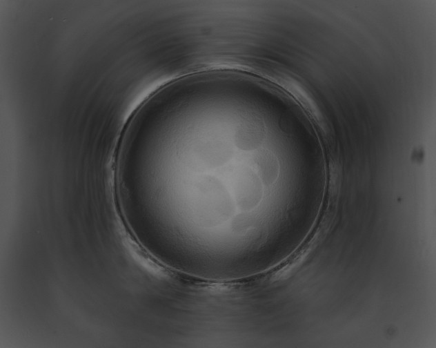 X0000091640814200708301357